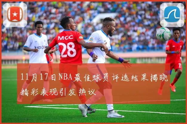 11月17日NBA最佳球员评选结果揭晓精彩表现引发热议