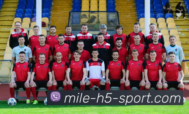 米乐体育APP 封面图